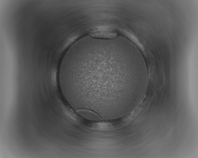 X0000110870154200906251235