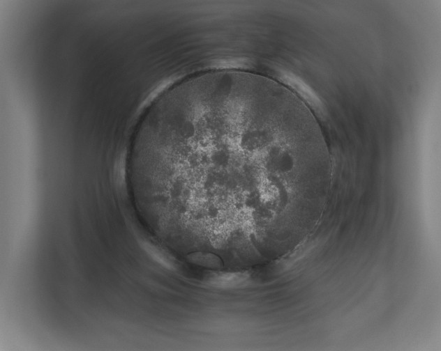 X0000110870155200906251235