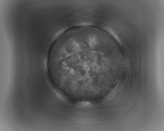 X0000110870159200906251236