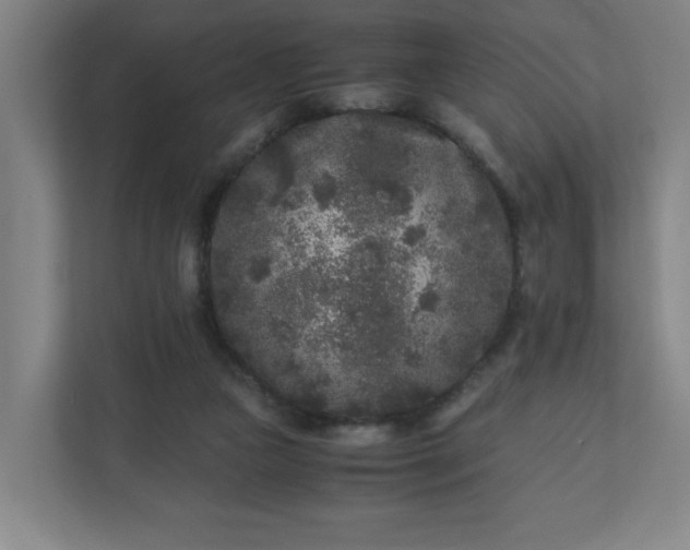 X0000110870161200906251236