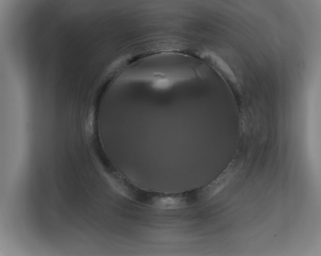 X0000110870163200906251236