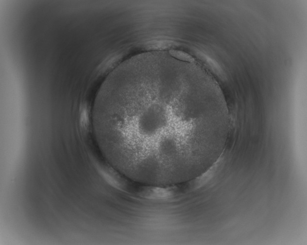 X0000110870166200906251236