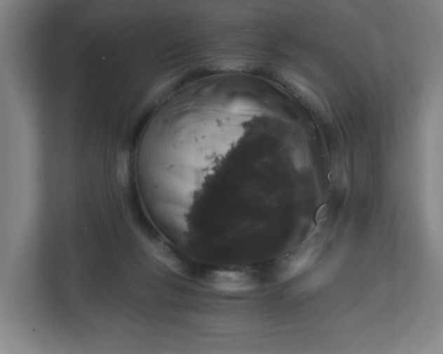 X0000110870167200906251236