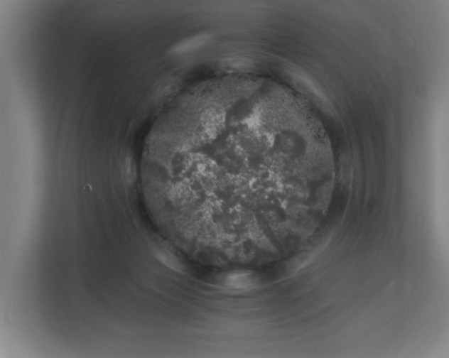 X0000110870173200906251236