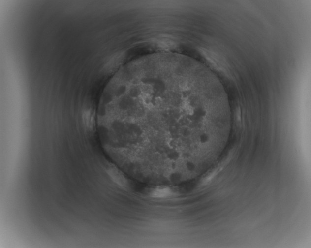 X0000110870177200906251236