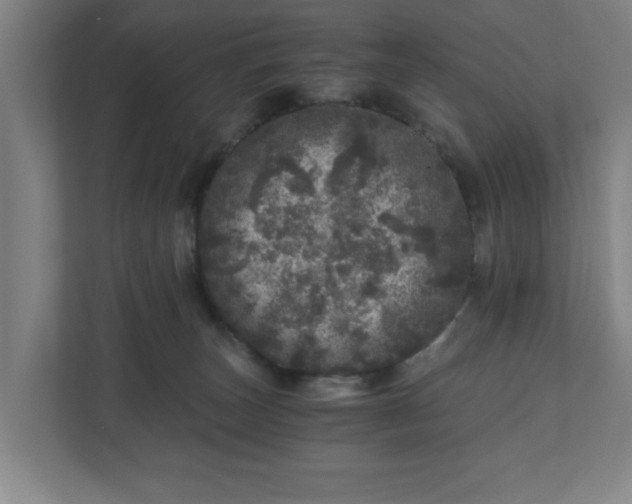 X0000110870179200906251236