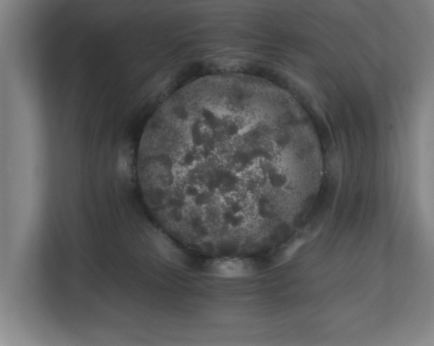 X0000110870181200906251236