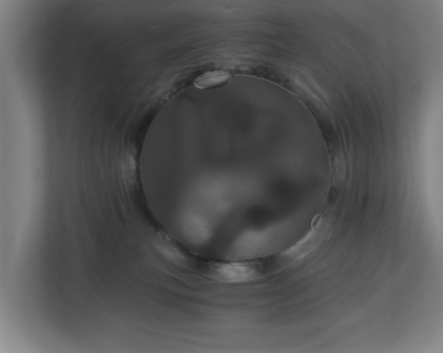 X0000110870183200906251236