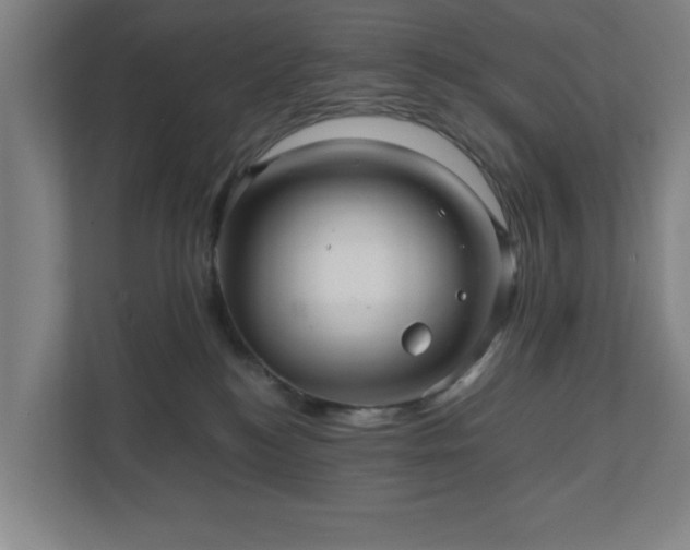 X0000110870184200906251236