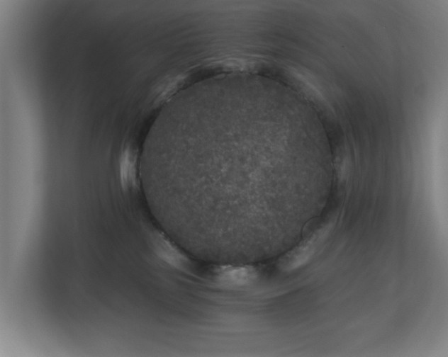 X0000110870185200906251236