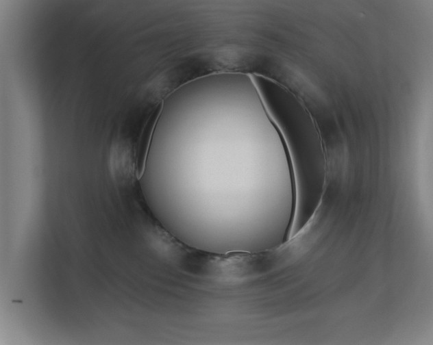 X0000110870186200906251236