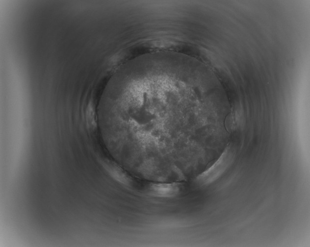 X0000110870187200906251236