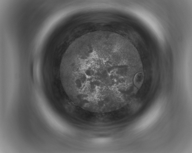 X0000110870189200906251236