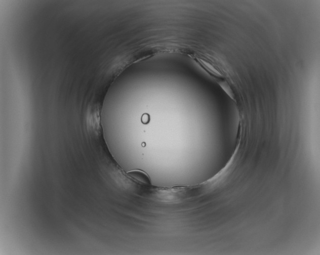 X0000110870190200906251236