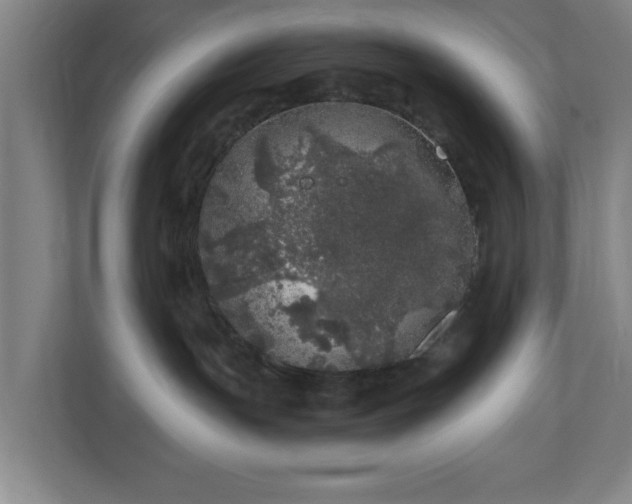 X0000110870191200906251236