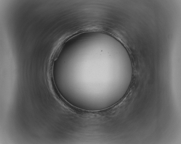 X0000110870193200906251235