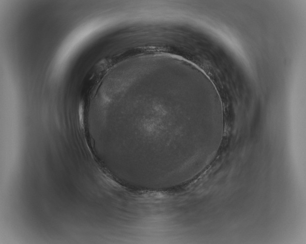 X0000110870195200906251235