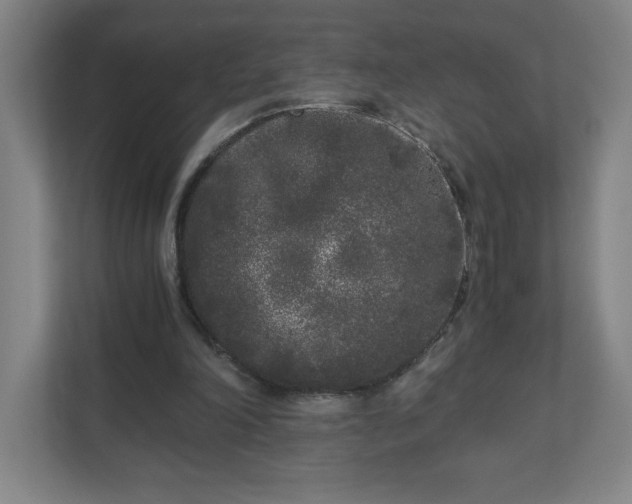 X0000110870198200906251235