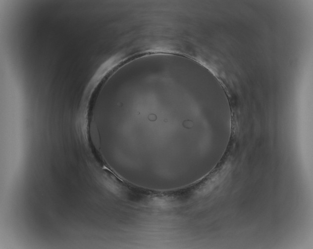 X0000110870199200906251235