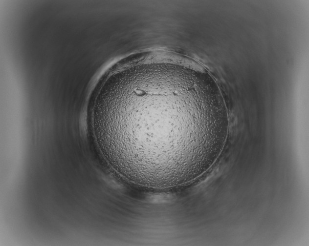 X0000110870200200906251235