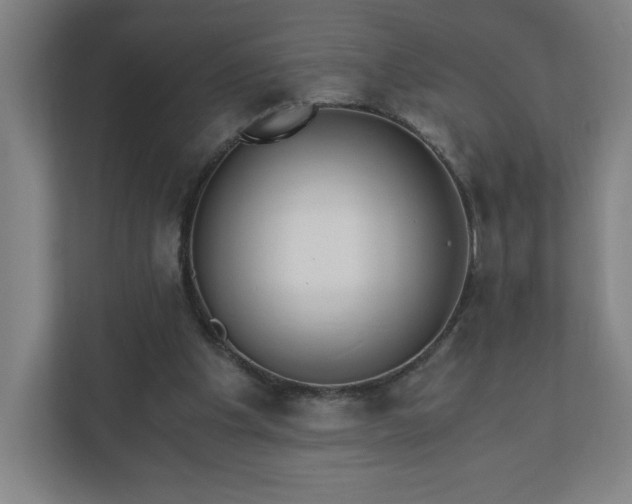 X0000110870201200906251235