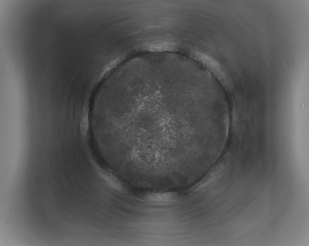 X0000110870202200906251235