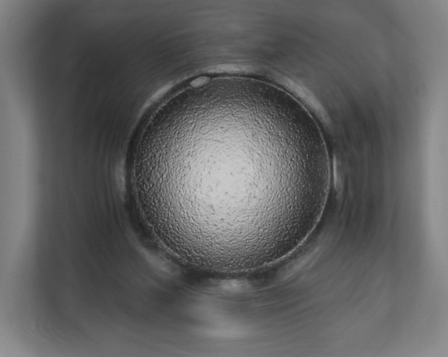 X0000110870204200906251235