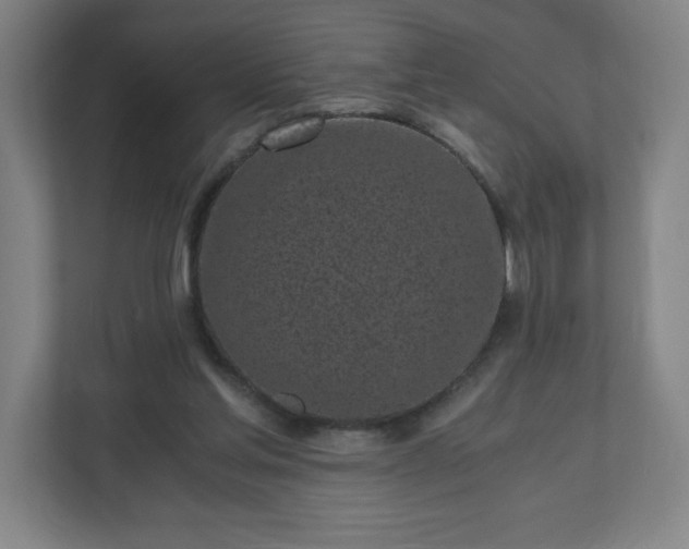 X0000110870205200906251235