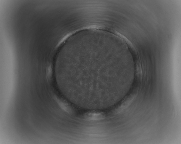 X0000110870208200906251235