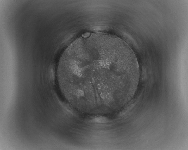 X0000110870210200906251235