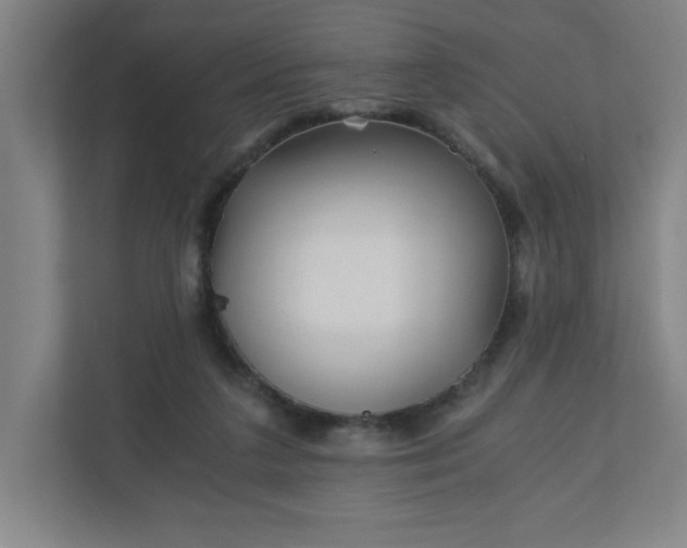 X0000110870211200906251235