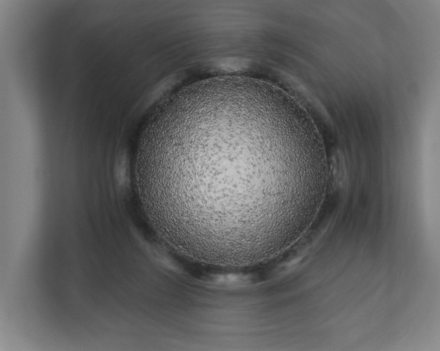 X0000110870212200906251235