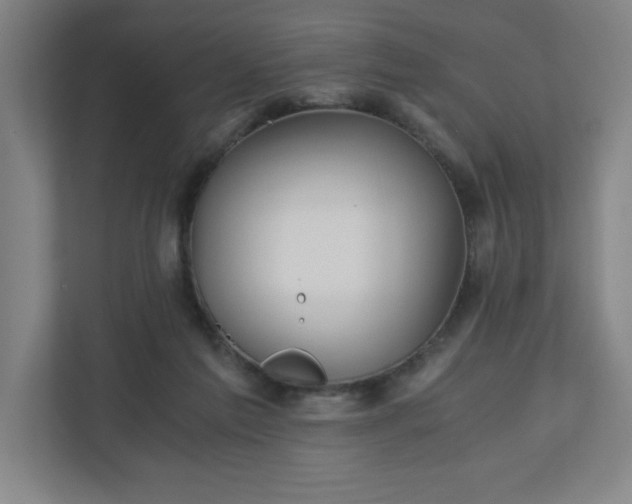 X0000110870213200906251235