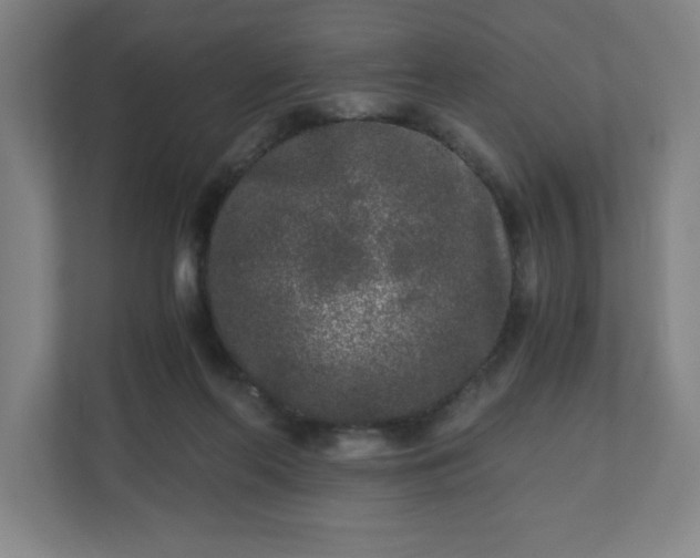 X0000110870214200906251235