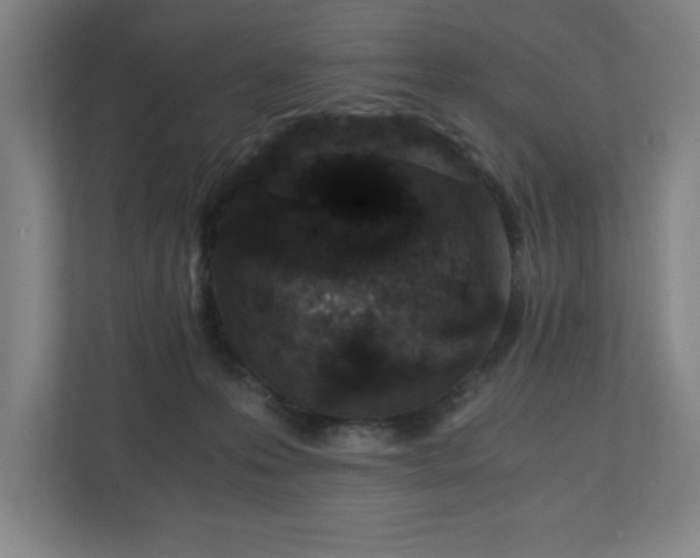 X0000110870223200906251235