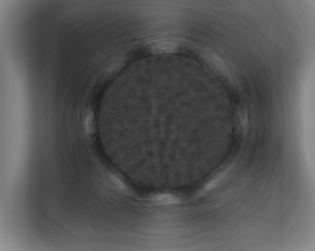 X0000110870224200906251235