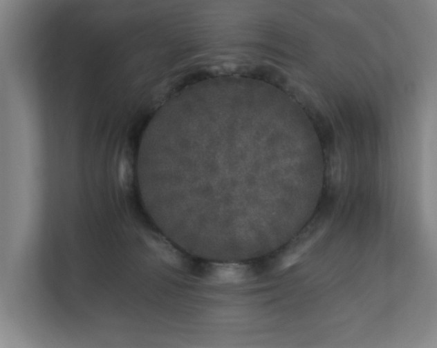 X0000110870226200906251235