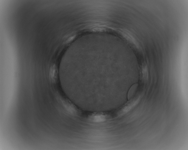 X0000110870228200906251235