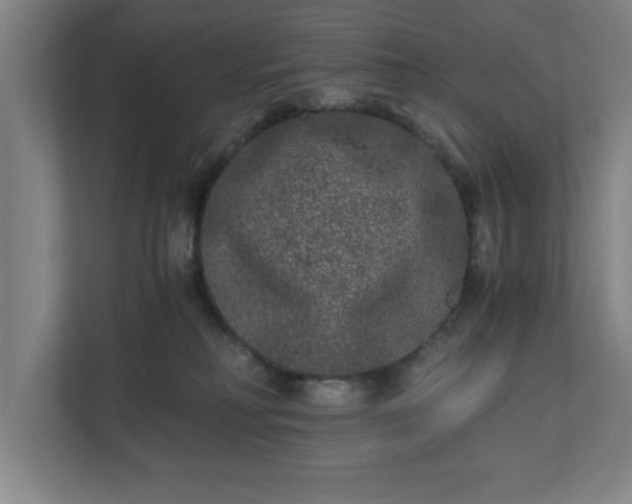 X0000110870230200906251235