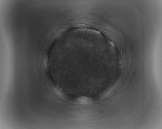 X0000110870231200906251235