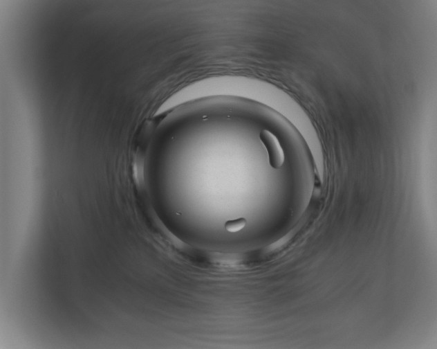 X0000110870233200906251235