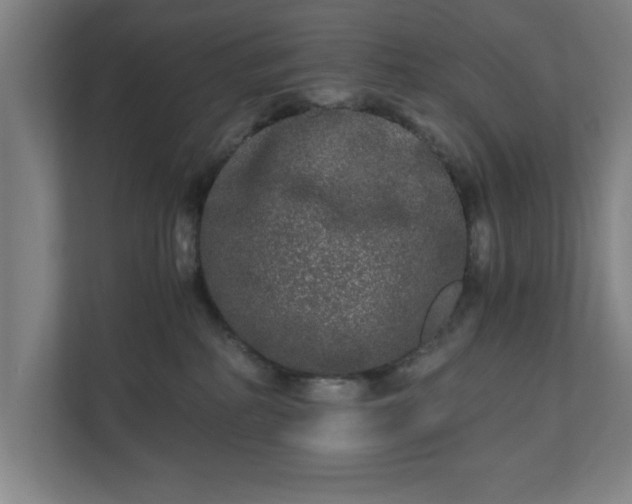 X0000110870234200906251235