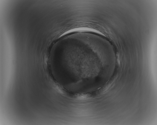 X0000110870235200906251235