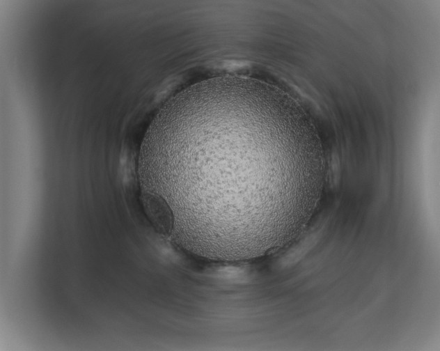 X0000110870236200906251235