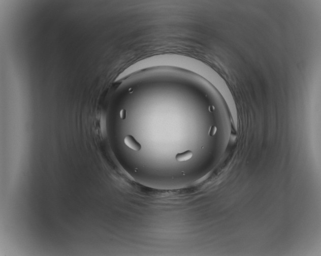 X0000110870237200906251235