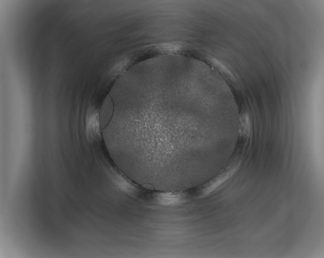 X0000110870238200906251235