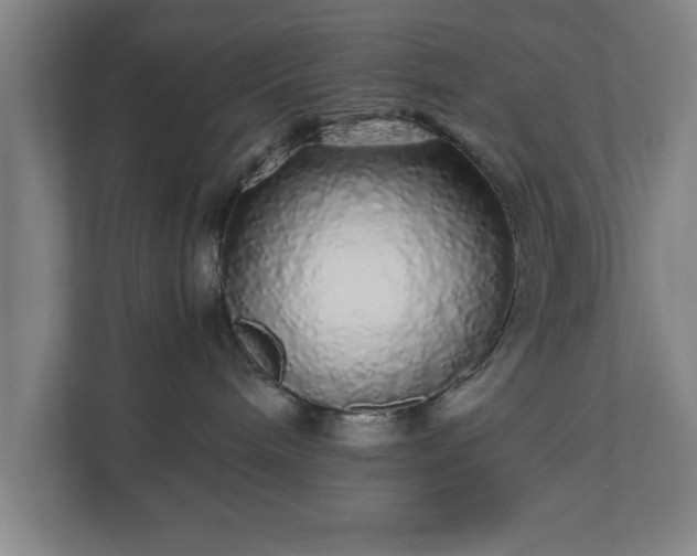 X0000110870240200906251235