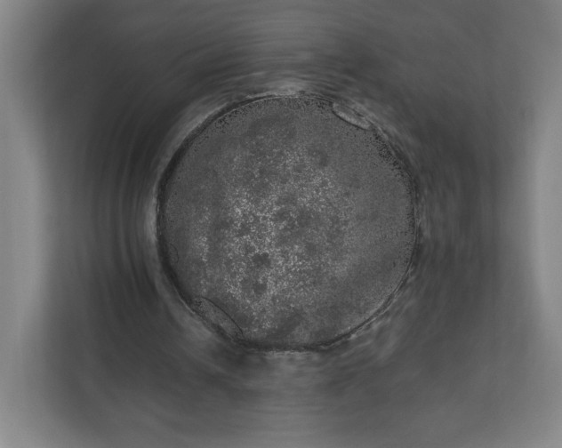 X0000110870242200906251234