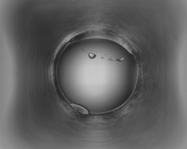 X0000110870244200906251234