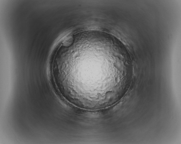 X0000110870245200906251234